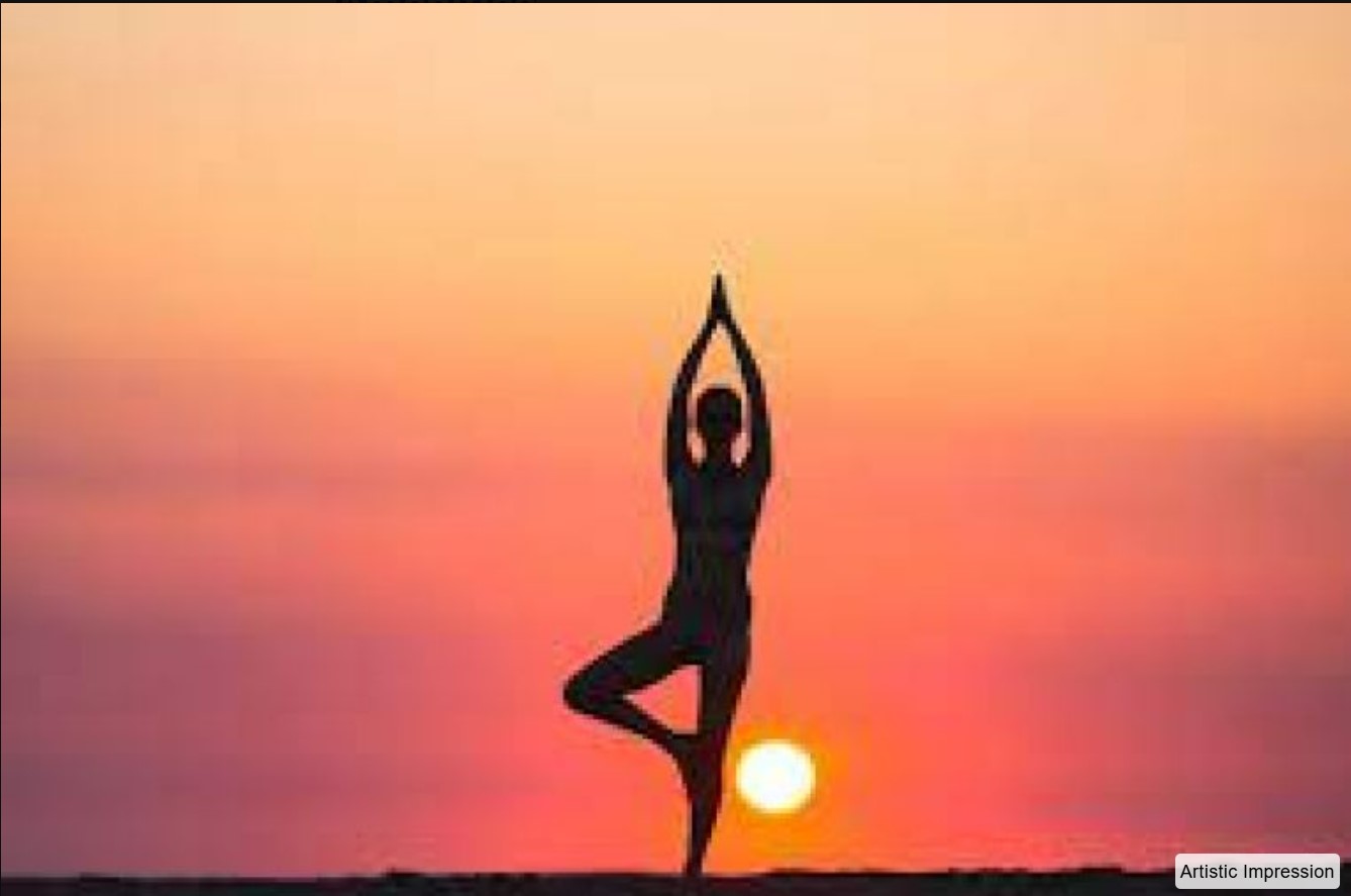 Yoga & Meditation Zones